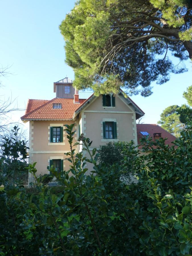 La Maison Du Mole Aigues-Mortes Exterior photo