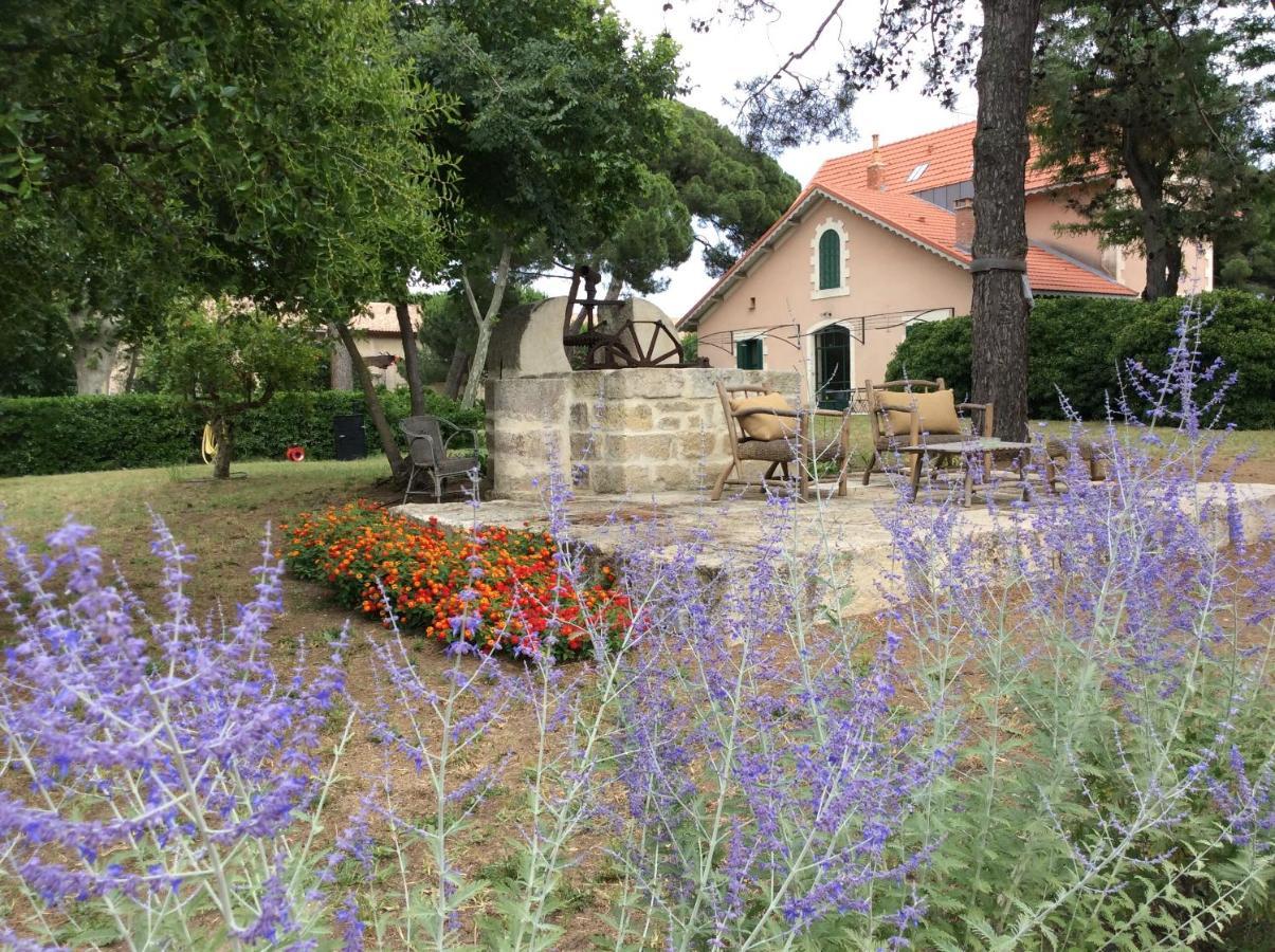 La Maison Du Mole Aigues-Mortes Exterior photo